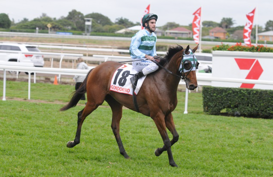 miracle turf blogspot